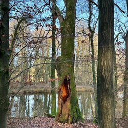 Herbst VI